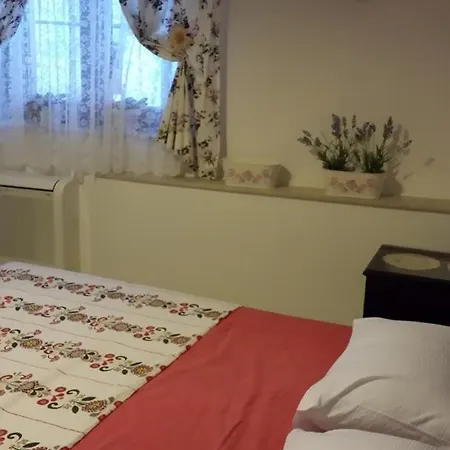 Gostinjska kuća Ruza 4*